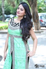 Nikitha Narayan at Mellaga Tattindi Manasu Talupu Movie Press Meet